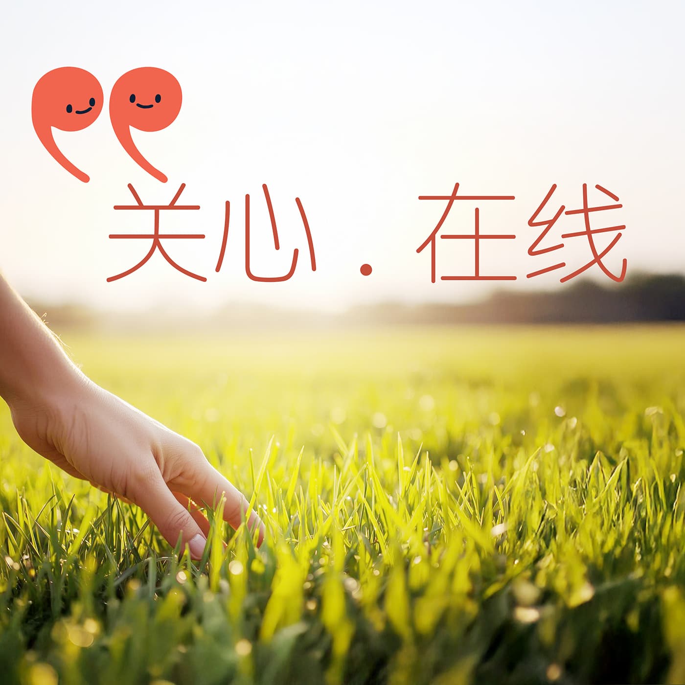 关心.在线